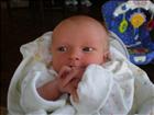 yummy fingers